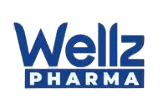 wellz pharma best freelance digital marketer in malappuram
